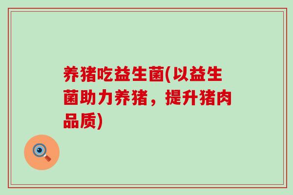 养猪吃益生菌(以益生菌助力养猪，提升猪肉品质)