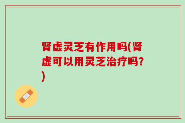 肾虚灵芝有作用吗(肾虚可以用灵芝治疗吗？)