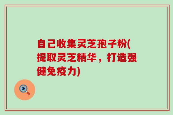 自己收集灵芝孢子粉(提取灵芝精华，打造强健免疫力)