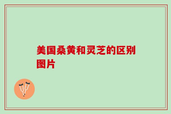 美国桑黄和灵芝的区别图片
