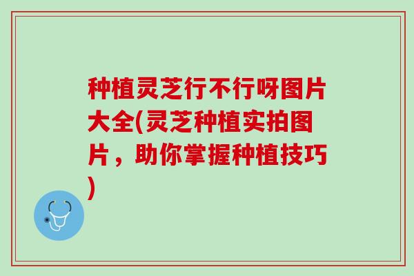 种植灵芝行不行呀图片大全(灵芝种植实拍图片，助你掌握种植技巧)