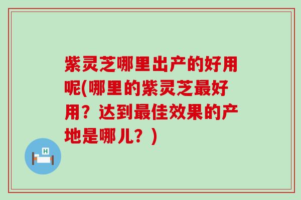 紫灵芝哪里出产的好用呢(哪里的紫灵芝最好用？达到最佳效果的产地是哪儿？)