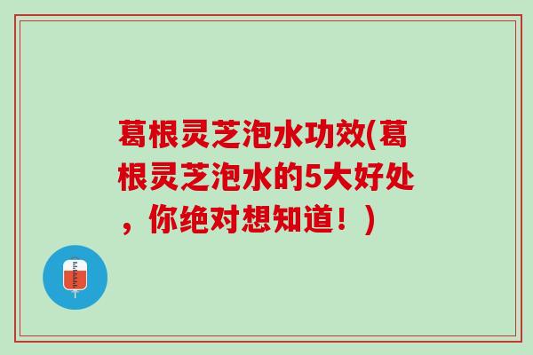 葛根灵芝泡水功效(葛根灵芝泡水的5大好处,你绝对想知道!) 葛根灵芝泡水功效(葛根灵芝泡水的5大好处,你绝对想知道!)