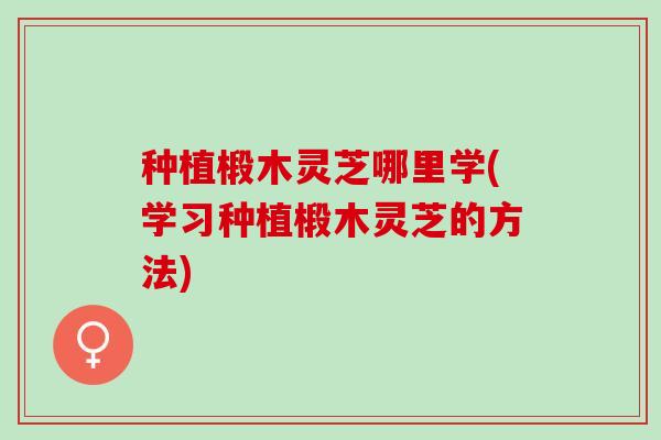 种植椴木灵芝哪里学(学习种植椴木灵芝的方法)
