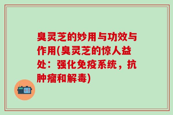 臭灵芝的妙用与功效与作用(臭灵芝的惊人益处：强化免疫系统，抗肿瘤和解毒)