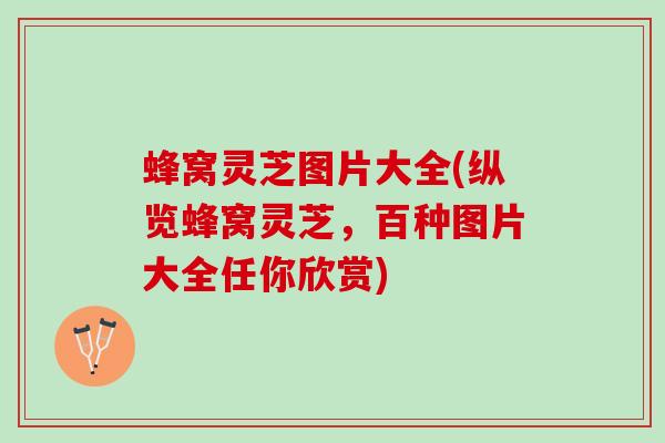 蜂窝灵芝图片大全(纵览蜂窝灵芝，百种图片大全任你欣赏)