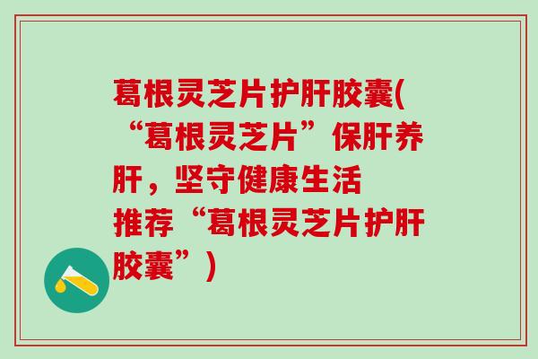葛根灵芝片护肝胶囊(“葛根灵芝片”保肝养肝，坚守健康生活  推荐“葛根灵芝片护肝胶囊”)