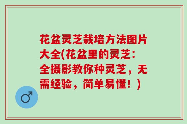 花盆灵芝栽培方法图片大全(花盆里的灵芝：全摄影教你种灵芝，无需经验，简单易懂！)