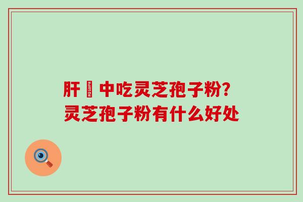肝孃中吃灵芝孢子粉？灵芝孢子粉有什么好处
