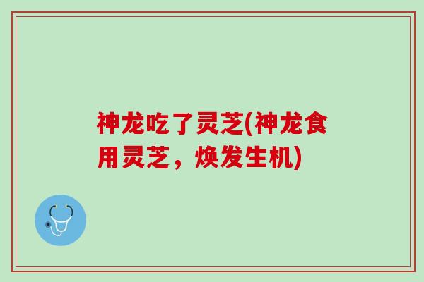 神龙吃了灵芝(神龙食用灵芝，焕发生机)