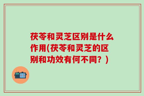 茯苓和灵芝区别是什么作用(茯苓和灵芝的区别和功效有何不同？)