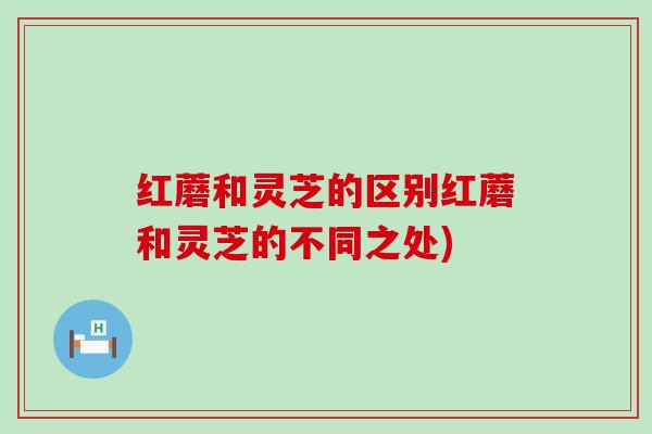 红蘑和灵芝的区别红蘑和灵芝的不同之处)