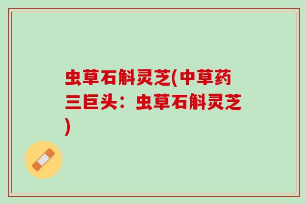 虫草石斛灵芝(中草药三巨头：虫草石斛灵芝)