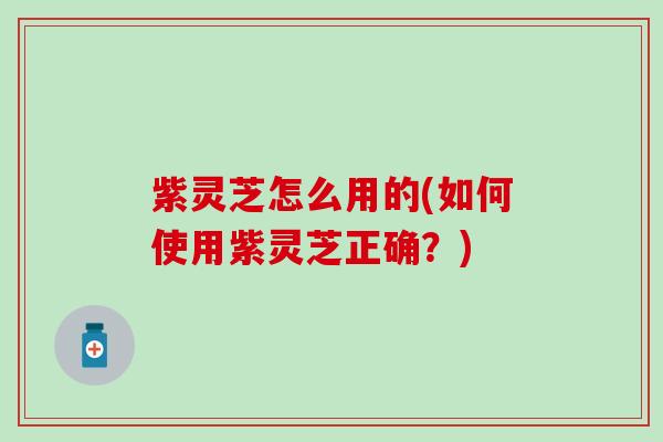 紫灵芝怎么用的(如何使用紫灵芝正确？)