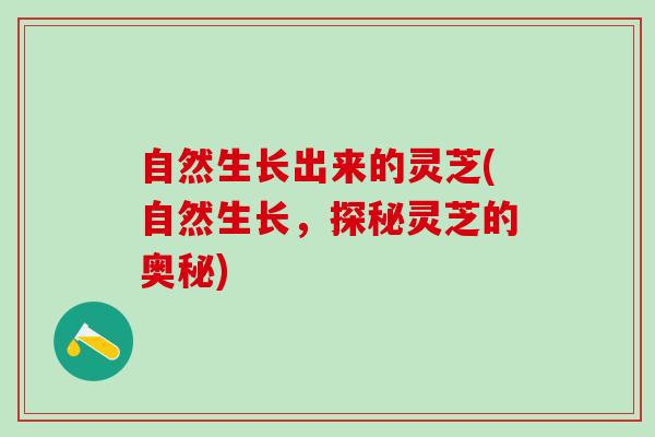 自然生长出来的灵芝(自然生长，探秘灵芝的奥秘)