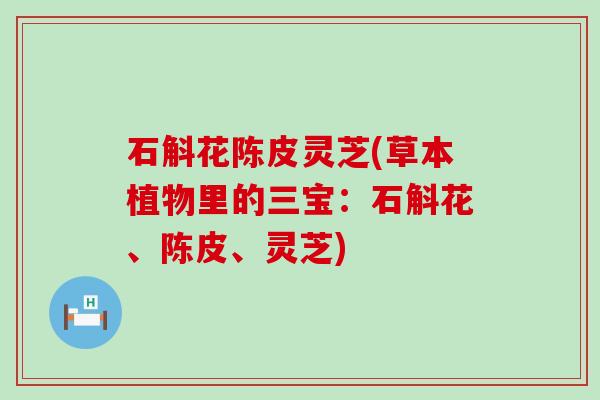 石斛花陈皮灵芝(草本植物里的三宝：石斛花、陈皮、灵芝)