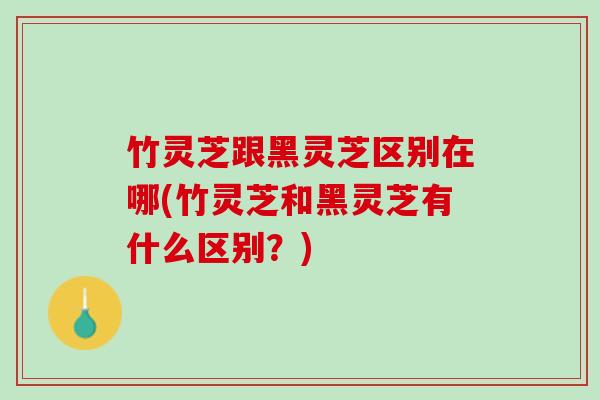 竹灵芝跟黑灵芝区别在哪(竹灵芝和黑灵芝有什么区别？)