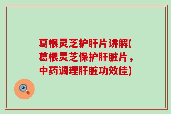 葛根灵芝护肝片讲解(葛根灵芝保护肝脏片，中药调理肝脏功效佳)