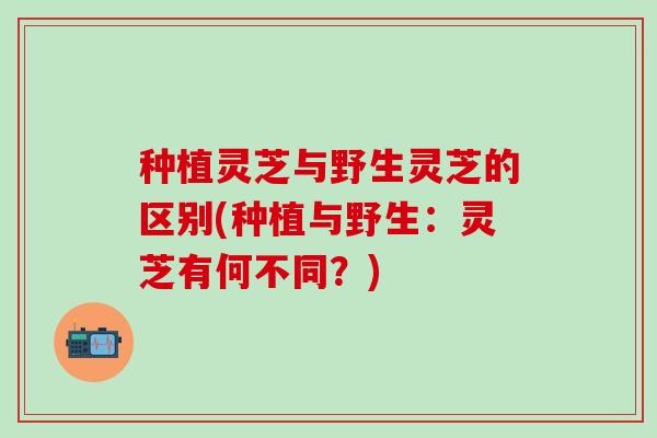 种植灵芝与野生灵芝的区别(种植与野生：灵芝有何不同？)