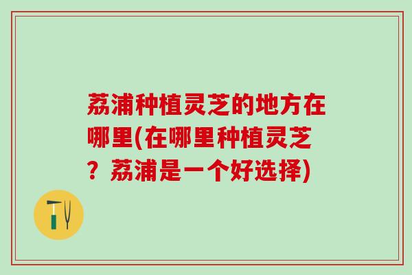 荔浦种植灵芝的地方在哪里(在哪里种植灵芝？荔浦是一个好选择)