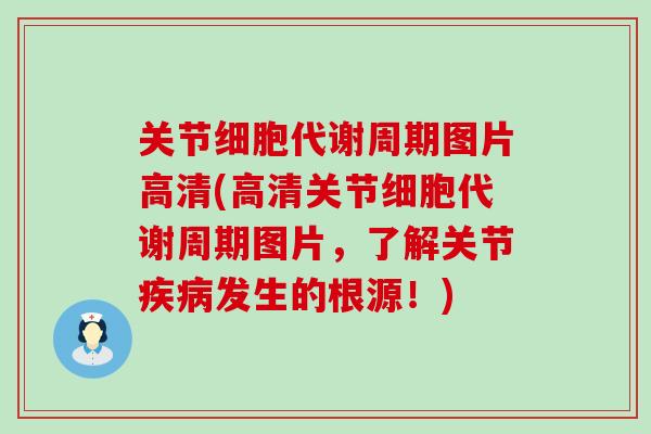 关节细胞代谢周期图片高清(高清关节细胞代谢周期图片，了解关节疾病发生的根源！)