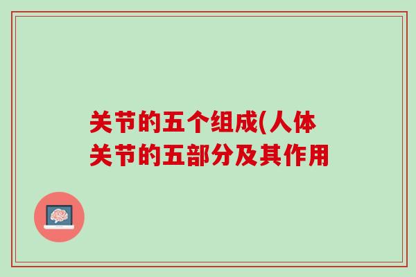 关节的五个组成(人体关节的五部分及其作用