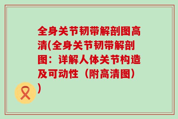 全身关节韧带解剖图高清(全身关节韧带解剖图：详解人体关节构造及可动性（附高清图）)