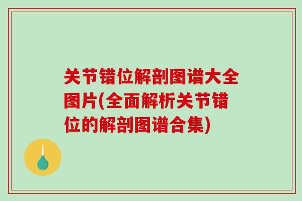 关节错位解剖图谱大全图片(全面解析关节错位的解剖图谱合集)