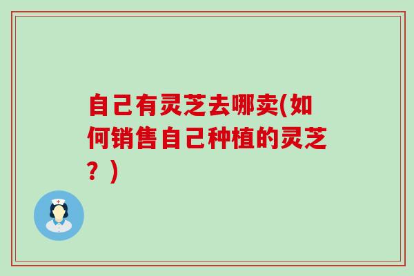 自己有灵芝去哪卖(如何销售自己种植的灵芝？)