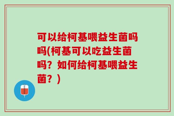 可以给柯基喂益生菌吗吗(柯基可以吃益生菌吗？如何给柯基喂益生菌？)