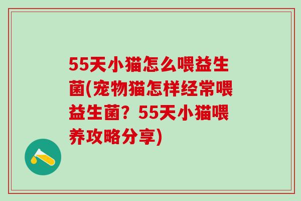 55天小猫怎么喂益生菌(宠物猫怎样经常喂益生菌？55天小猫喂养攻略分享)