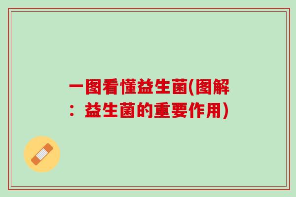 一图看懂益生菌(图解：益生菌的重要作用)