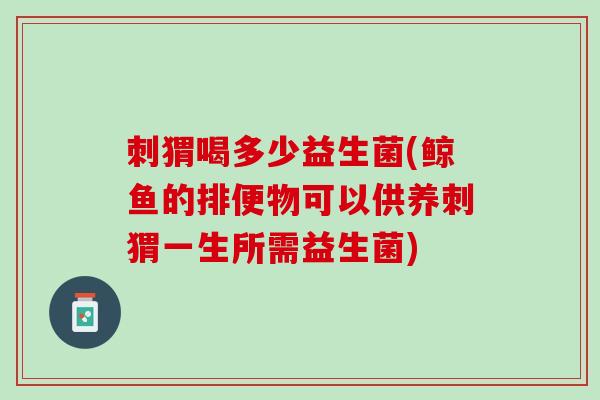 刺猬喝多少益生菌(鲸鱼的排便物可以供养刺猬一生所需益生菌)