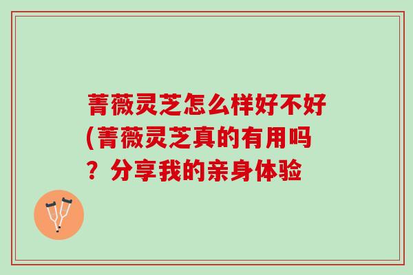 菁薇灵芝怎么样好不好(菁薇灵芝真的有用吗？分享我的亲身体验
