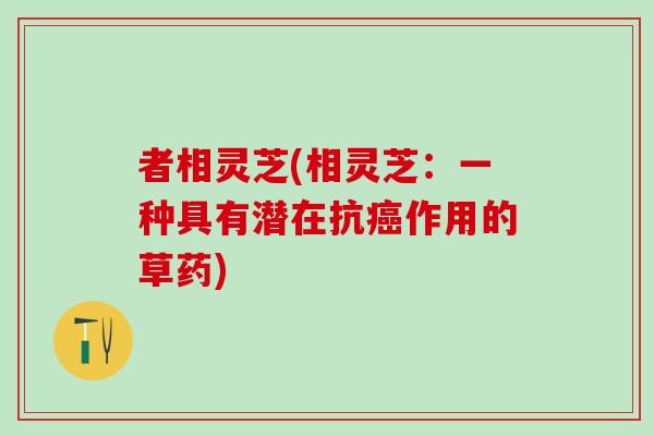 者相灵芝(相灵芝：一种具有潜在抗癌作用的草药)