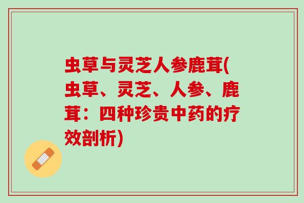 虫草与灵芝人参鹿茸(虫草、灵芝、人参、鹿茸：四种珍贵中药的疗效剖析)