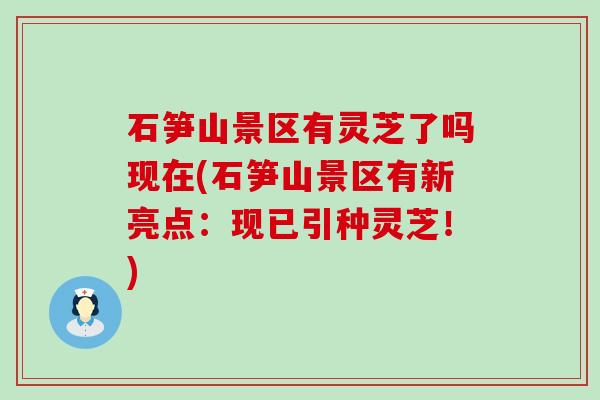 石笋山景区有灵芝了吗现在(石笋山景区有新亮点：现已引种灵芝！)