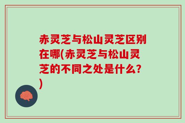 赤灵芝与松山灵芝区别在哪(赤灵芝与松山灵芝的不同之处是什么？)