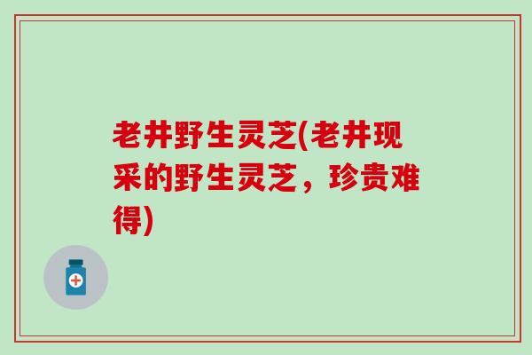 老井野生灵芝(老井现采的野生灵芝，珍贵难得)