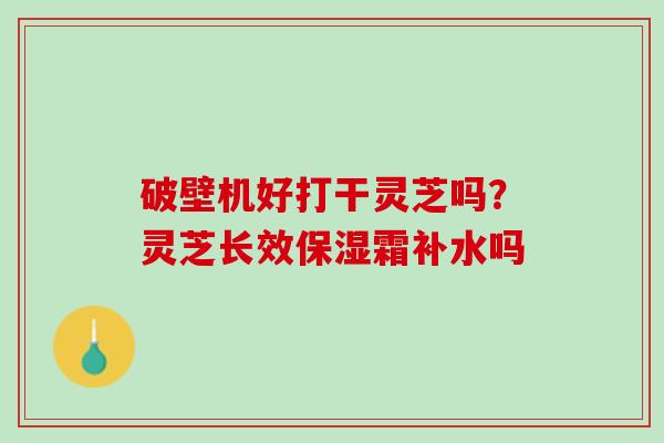破壁机好打干灵芝吗？灵芝长效保湿霜补水吗