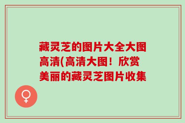 藏灵芝的图片大全大图高清(高清大图！欣赏美丽的藏灵芝图片收集