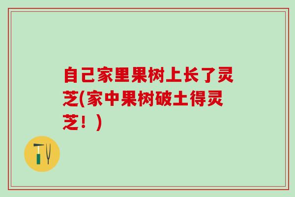 自己家里果树上长了灵芝(家中果树破土得灵芝！)