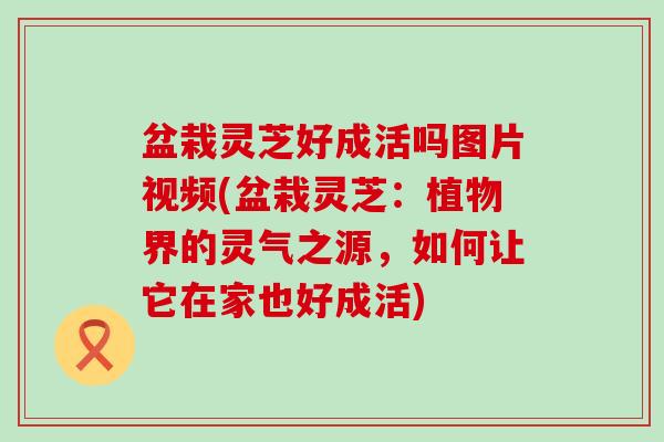 盆栽灵芝好成活吗图片视频(盆栽灵芝：植物界的灵气之源，如何让它在家也好成活)
