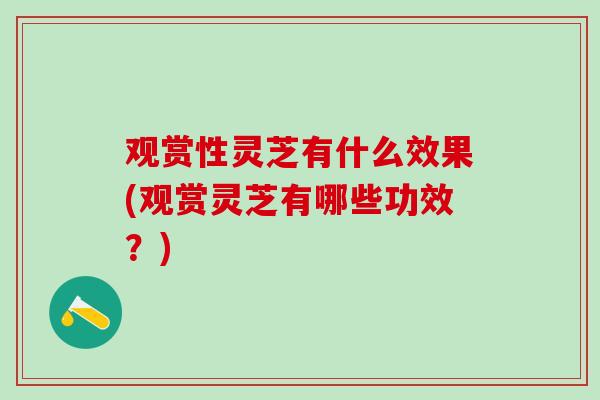 观赏性灵芝有什么效果(观赏灵芝有哪些功效？)