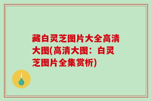 藏白灵芝图片大全高清大图(高清大图：白灵芝图片全集赏析)
