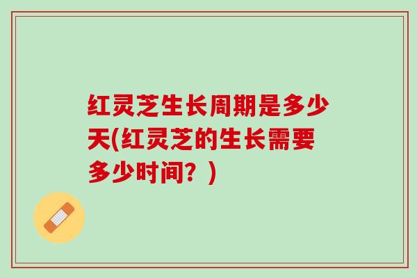 红灵芝生长周期是多少天(红灵芝的生长需要多少时间？)