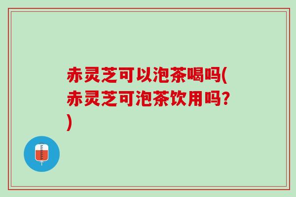赤灵芝可以泡茶喝吗(赤灵芝可泡茶饮用吗？)
