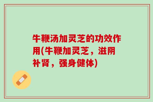 牛鞭汤加灵芝的功效作用(牛鞭加灵芝，滋阴补肾，强身健体)