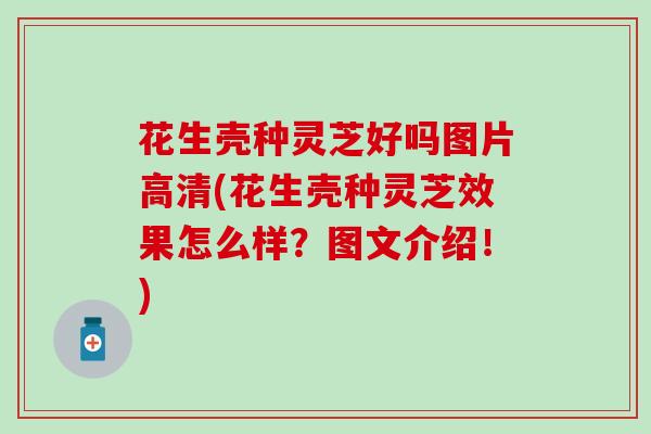 花生壳种灵芝好吗图片高清(花生壳种灵芝效果怎么样？图文介绍！)