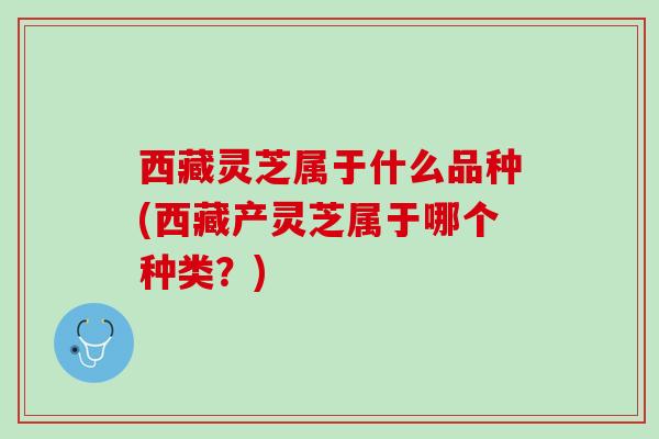西藏灵芝属于什么品种(西藏产灵芝属于哪个种类？)